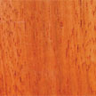 Brazilian Cherry