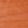 American Cherry