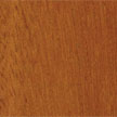 Eucalyptus Grandis