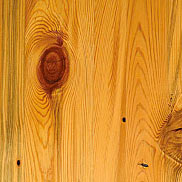 Antique Heart Pine