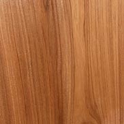 Butternut